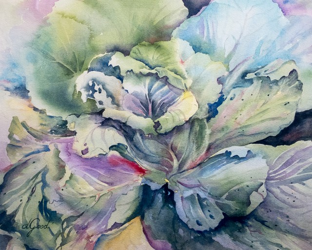 Cabbage leaves unfold in layers of pale green, blue and violet.