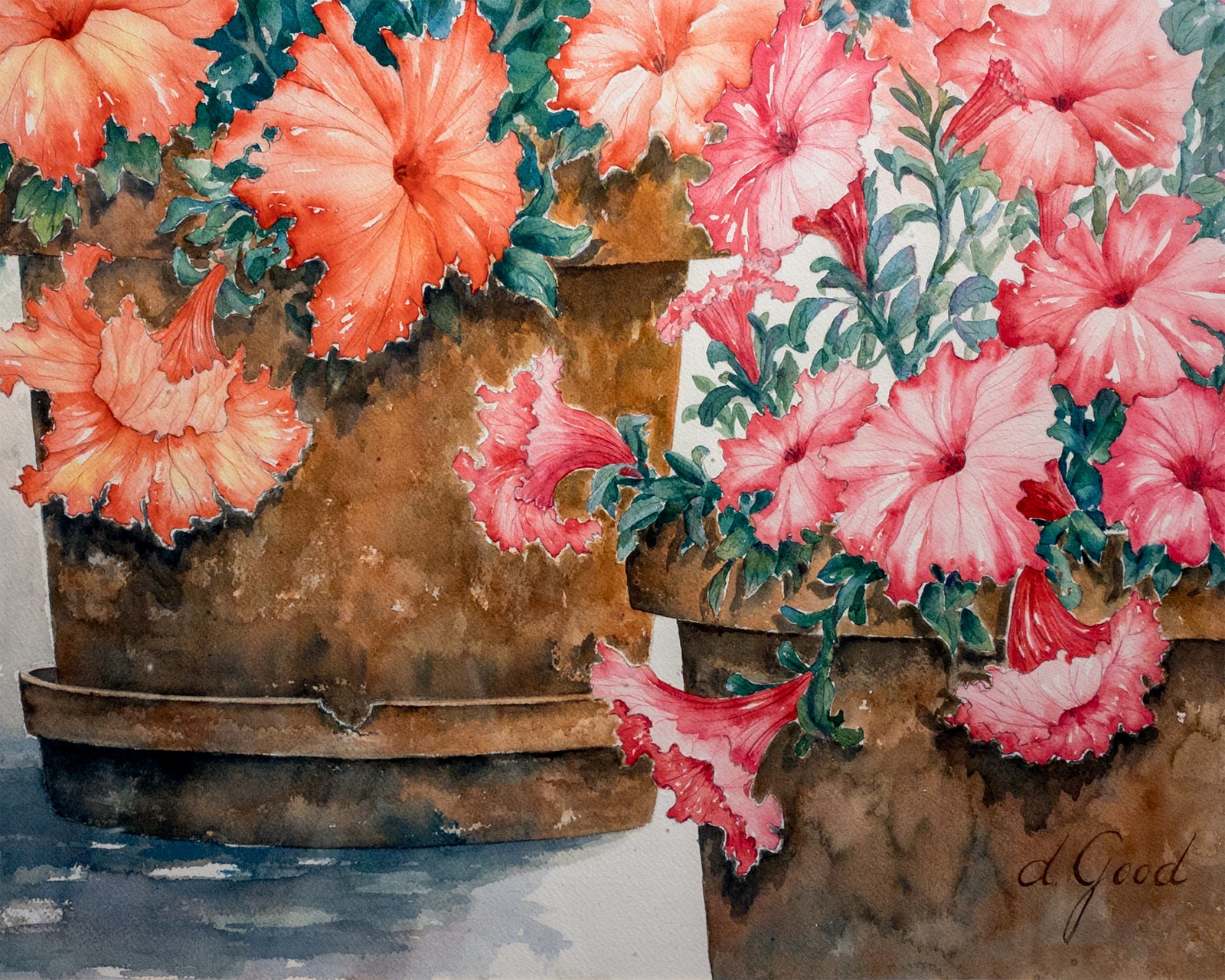 Pink and coral petunias spill over the edges of terracotta pots.